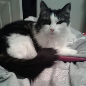 Meet your Posher, Billie